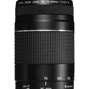 Canon EF 75-300 mm f/4-5.6 III Telephoto Zoom Lens